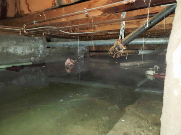 Carpet water damage restoration in East Lexington, VA