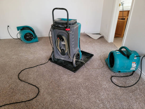 Best Water damage restoration near me  in East Lexington, VA