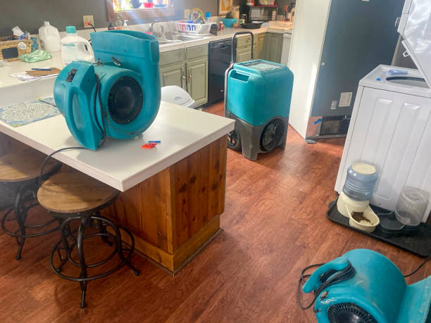 Best Residential water damage restoration  in East Lexington, VA