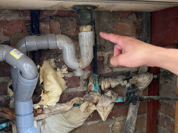 Best Professional water damage repair  in East Lexington, VA