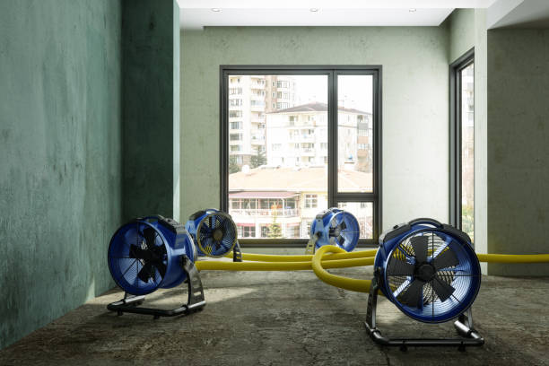 Professional Water damage restoration in East Lexington, VA
